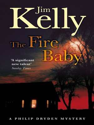 cover image of The Fire Baby